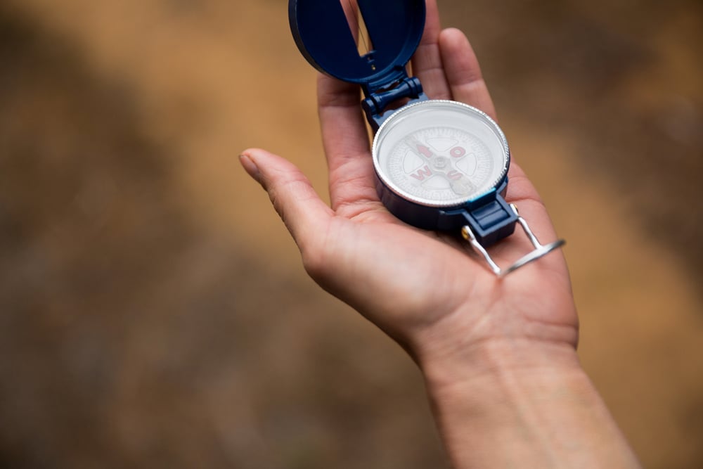 Close-up of hand holding compass in forest